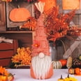 thumbnail image 5 of Gyratedream Thanksgiving Day Gnomes Plush Decorations Autumn Faceless Doll Elf Dwarf Home Table Decor, 5 of 9