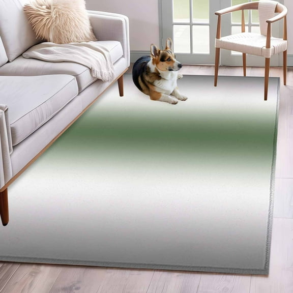 Gray Sage Green Area Rug 3x5 Washable Rug Non Slip Modern Gradient Geometric Large Area Rug Indoor Floor Carpet for Entryway Bedroom Kitchen Living Room Home Office Dining Room Nursery