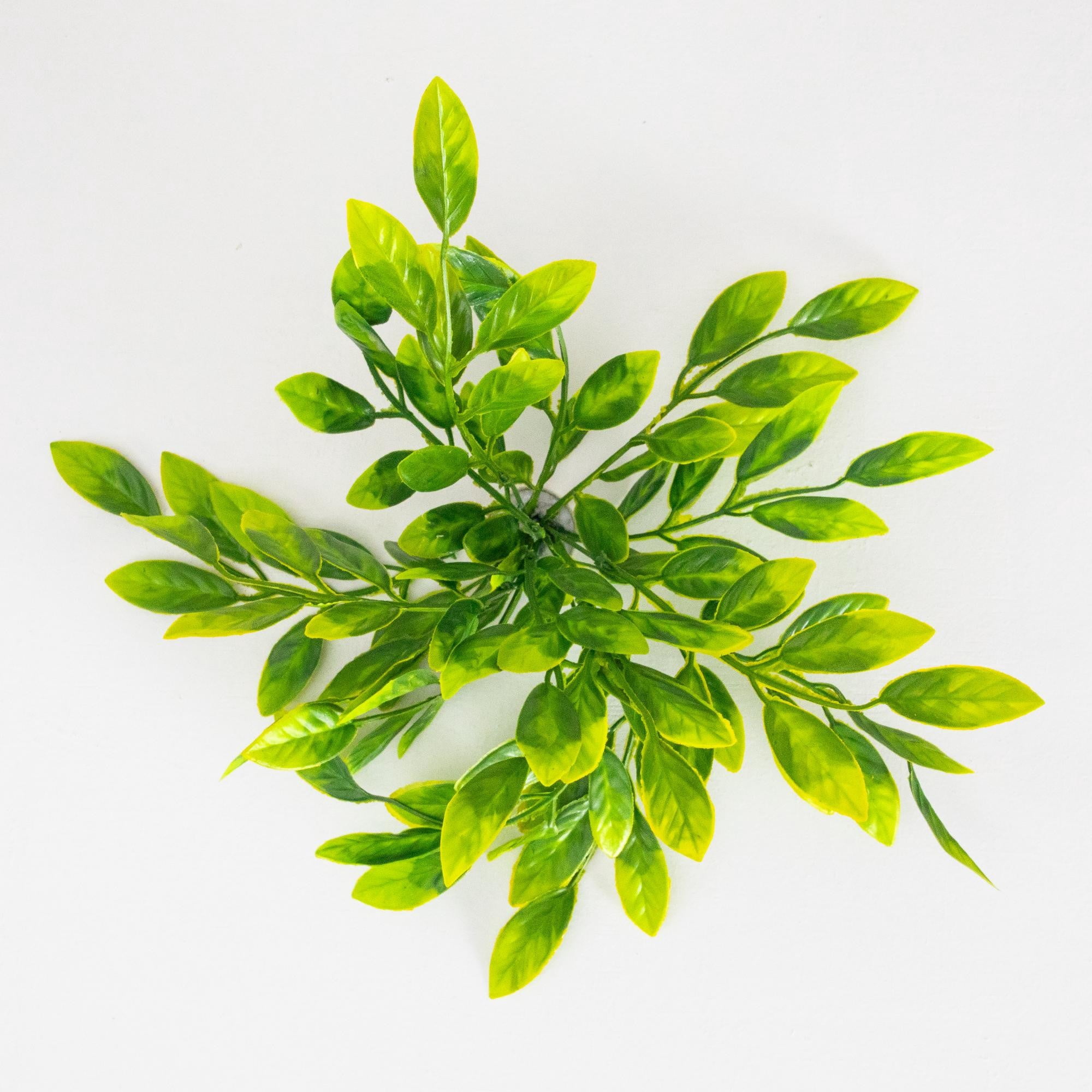 16in. UV Resistant Artificial Ruscus Bush (Indoor/Outdoor) - Set of 6