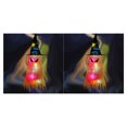 thumbnail image 4 of Bearachild Sombrero con luces LED para vacaciones de Halloween, decoración para fiesta, sombrero colgante, sombrero de brillante, accesorio Type7 NO7, 4 of 6