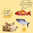 thumbnail image 3 of Électrique Simulent Poisson USB Charge Son Rebondi Jouet pour Animaux de Compagnie Enfants, 3 of 8