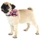 thumbnail image 5 of Collar de nailon con lazo para perro y gato con flor de geranio y cascabeles de perla., 5 of 5