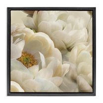 Stupell Industries Ivory Magnolia Petals Plants & Flowers Photography Black Floater Framed Canvas Art Print Wall Art, 25 x 25