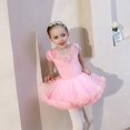 thumbnail image 4 of Vestido de ballet para niñas, leotardos de ballet brillantes de princesa, tutú para niñas, ropa de baile, disfraz, 4 of 5