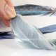 thumbnail image 4 of Feather Car Body Random Stickers, Pattern 1, 4 of 5