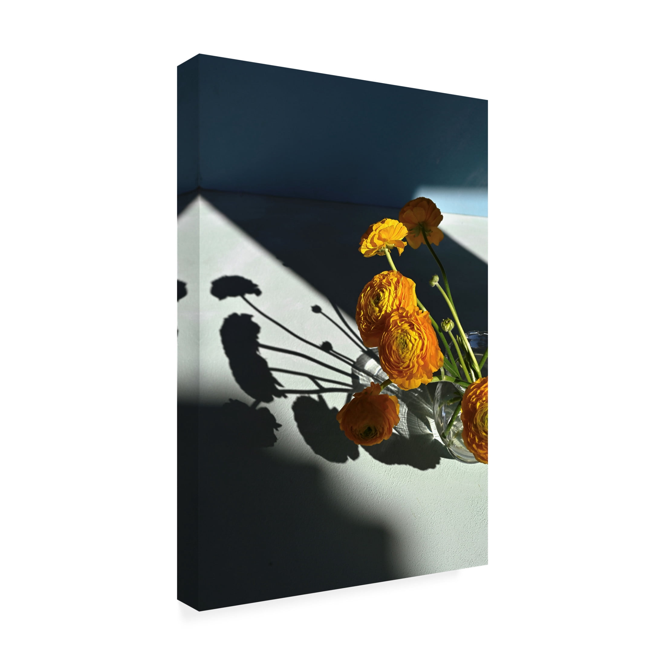 Trademark Fine Art Donatella Basso Yellow buttercups Canvas Wall Art