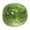 Green Apple Squishy, variant on Squishy Dog Face Toys - Curiosities Dog Face Swap Squeeze,Cheese Squishy,Slow Rising Squishing Butter Stick(Random one)