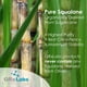 thumbnail image 2 of Aceite de escualano QRxLabs puro a base de plantas con vitamina E 60 ml, 2 of 9