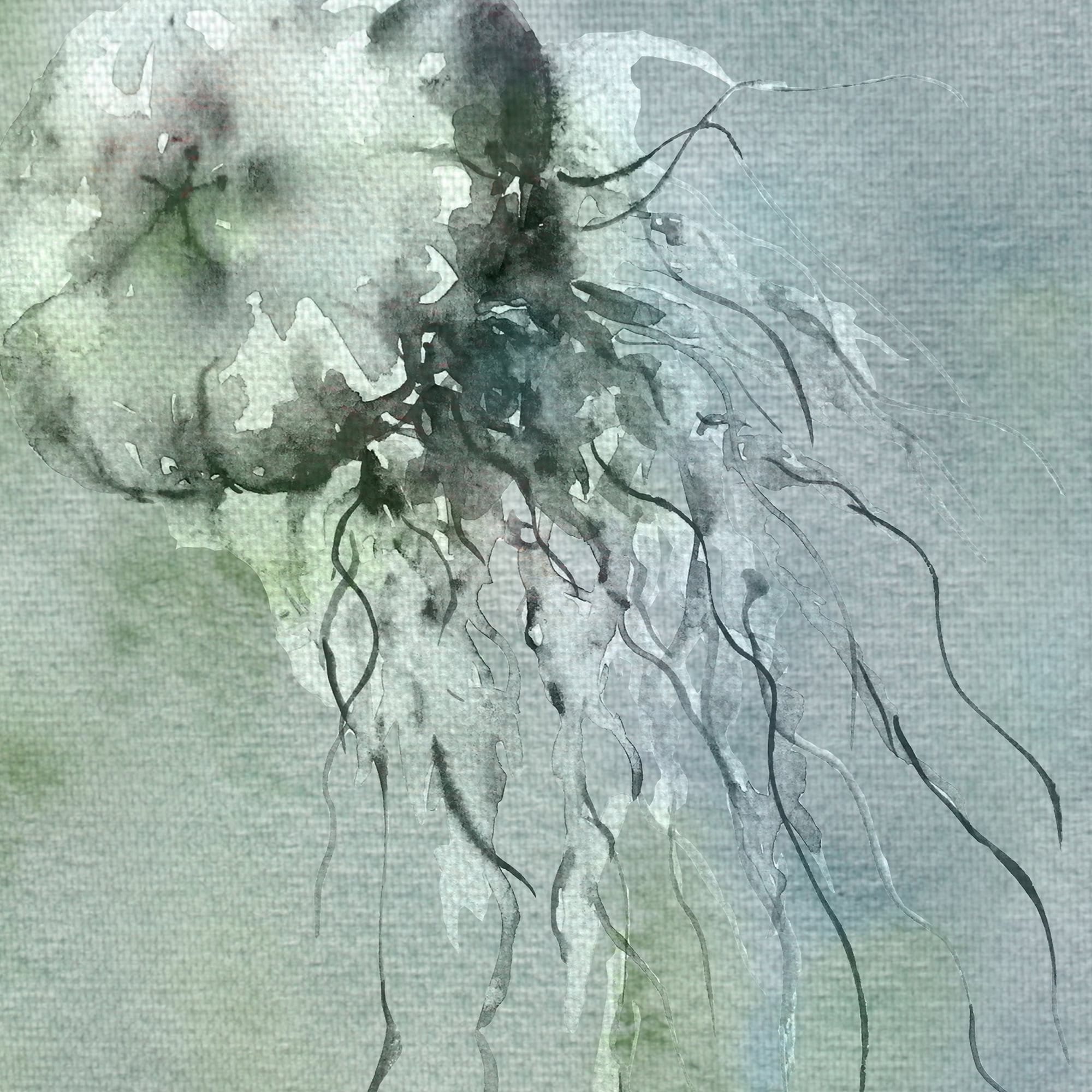 Fine Art Canvas Jellyfish Blue Grey I & III by Brandi Fitzgerald Canvas Art Print
