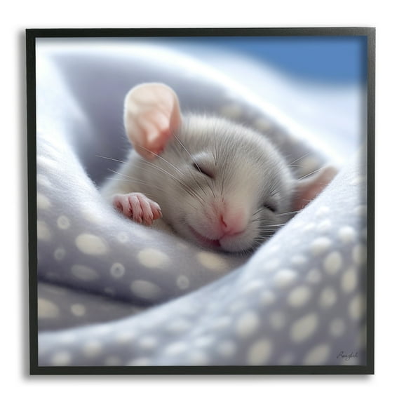 Stupell Industries Soft Sleeping Mouse Animals & Insects Painting Black Framed Art Print Wall Art, 12 x 12