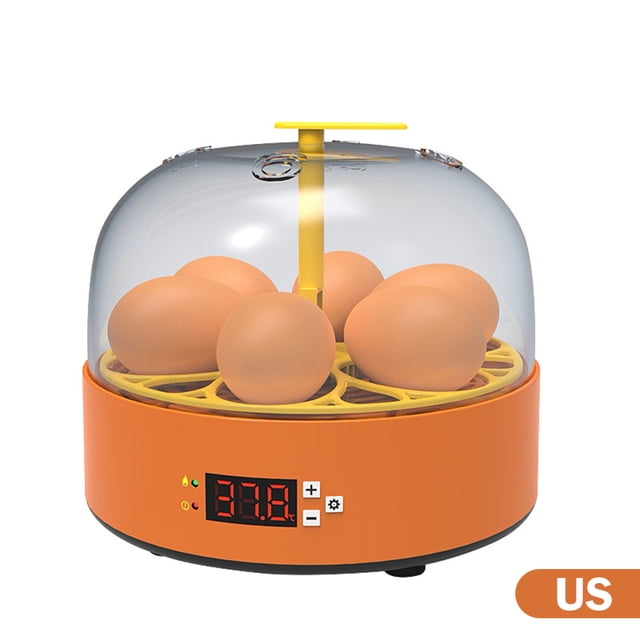 Incubadora de huevos Máquina de incubación de 15 W Control de temperatura ajustable (EE. UU.) Likrtyny Libre de BPA