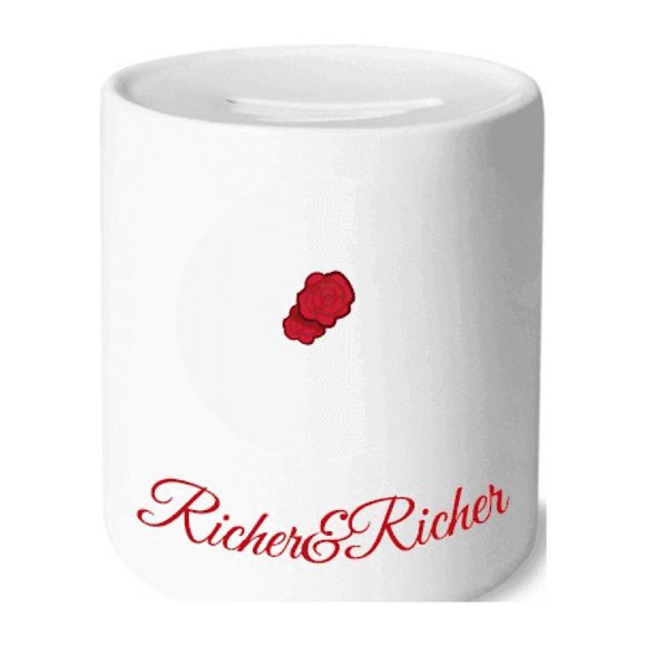 America Red Rose Botany Rich and Rich Bank Saving Box Coin
