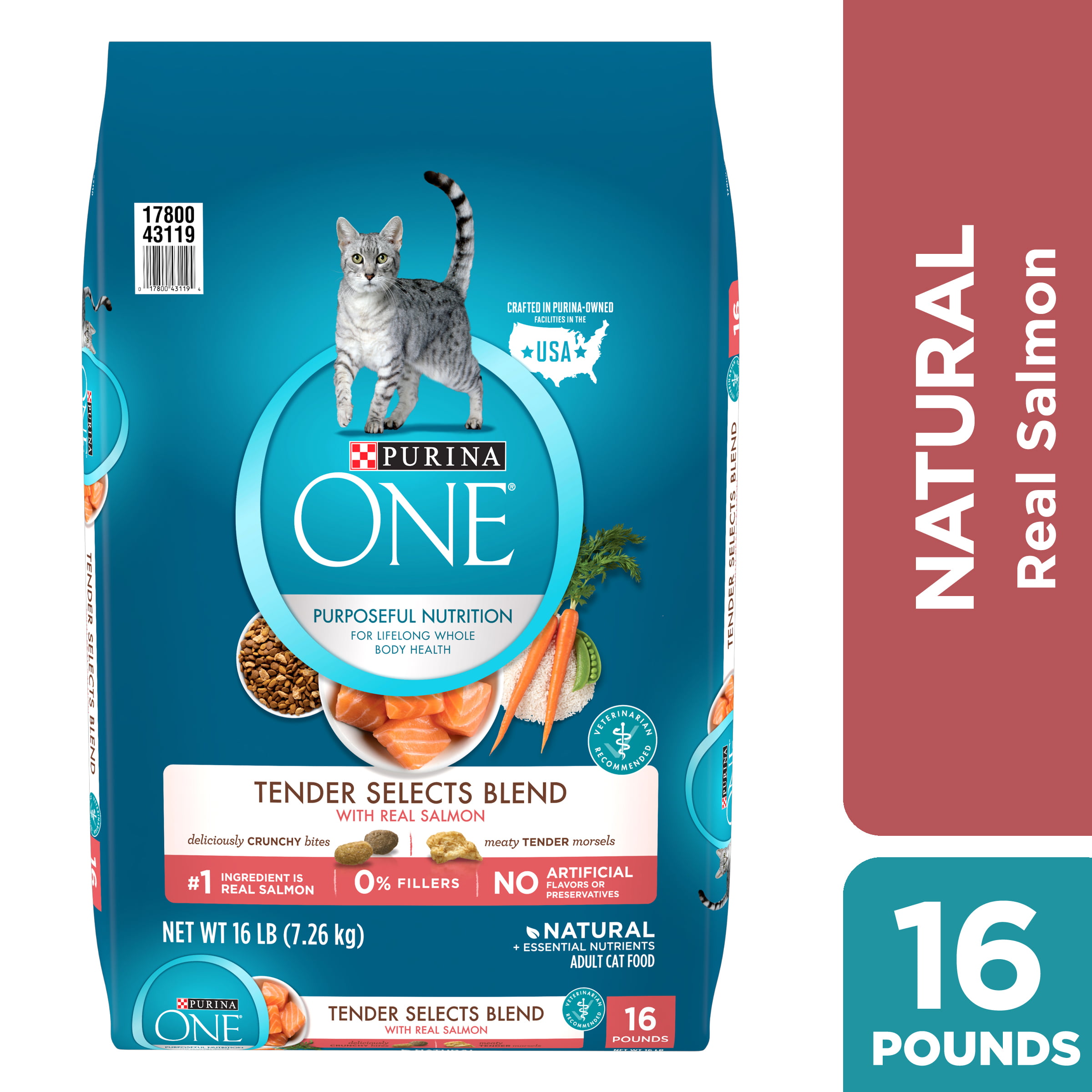 Purina ONE Natural Dry Cat Food, Tender 