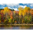 thumbnail image 2 of Collins, Ann 14x12 White Modern Wood Framed Museum Art Print Titled - USA-Michigan-Upper Peninsula-Munising Autumn trees at Thornton Lake, 2 of 4