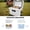 White + Plastic#693, variant on Compact 20 Quart White Cooler for Outdoor Adventures, Ultra-Tough Hard Shell Ice Chest Keeps Ice Up to 5 Days for Work, Beach & Boating