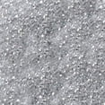thumbnail image 2 of Non-Toxic Disco Dust, 16 Grams - Silver, 2 of 2