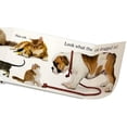 thumbnail image 4 of Cat By Matthew Van Fleet, 4 of 6