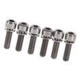 thumbnail image 3 of Tornillos de Vástago de Titanio oso de fresa 6 piezas M5 x 18 mm, 3 of 10