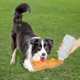 thumbnail image 4 of Portable Dog Water Bottle,500ml Foldable Dog Water Bottle for Walking,Dog Travel Water Bottle-Comfortable Easy Drinking,Dog Cat, 4 of 4