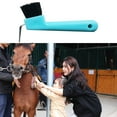 thumbnail image 4 of Horse Hoof Tool Wear-resistant Compact Plastic Horse Grooming Horseshoe Brush for Professional Use, 4 of 6