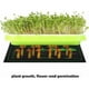thumbnail image 4 of (Juego de 2) Estera calefactora impermeable para plantas para germinación en invernadero Acelera la germinación de semillas Almohadilla térmica para reptiles y anfibios 21/30 vatios 52 × 25 cm JM MX-0140820FYD, 4 of 4