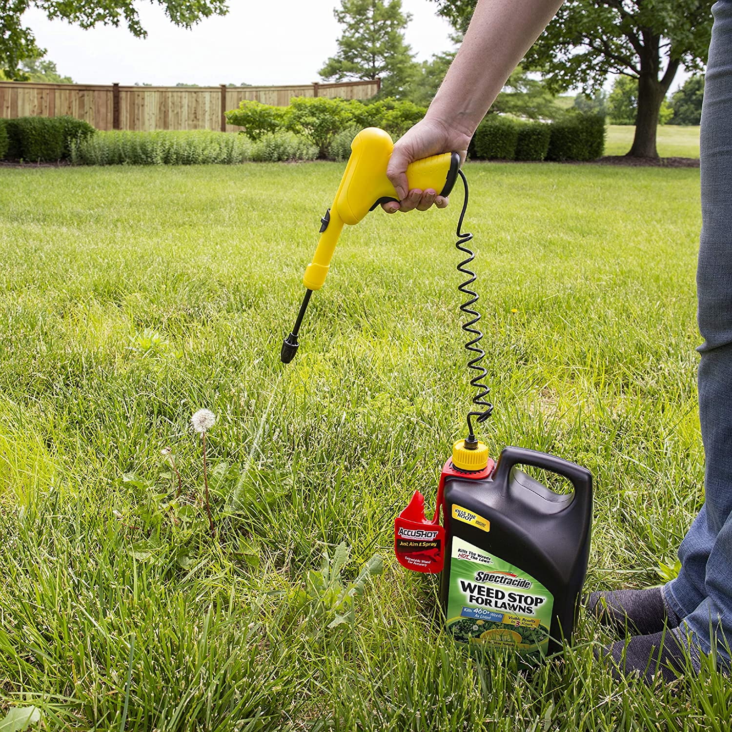 Spectricide HG-96544 Weed Stop, Ready-to-Use, 1.33-Gallon With Accushot Sprayer - Quantity 1