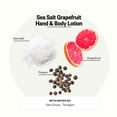 thumbnail image 2 of Suero concentrado MD Complete Retinol Vitamina C | Suero antienvejecimiento de vitamina C de alta potencia | con Retinol Vitaminas C y E Omega 3-6 y 9 Extractos de semillas de frutas 0.5 fl oz, 2 of 5