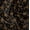 Black, variant on Soimoi Poly Canvas Purple Fabric By the Yard - 56 Inch Wide - Florals, Leaves Print Fabric - Elegant & Beautiful Patterns for Fashion and Home Decor Printed Fabric