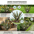 thumbnail image 5 of Lumiartisan Faux Metal Agave Plant 35cm/13.8" Solar Landscape Decor Yard Art, 5 of 8