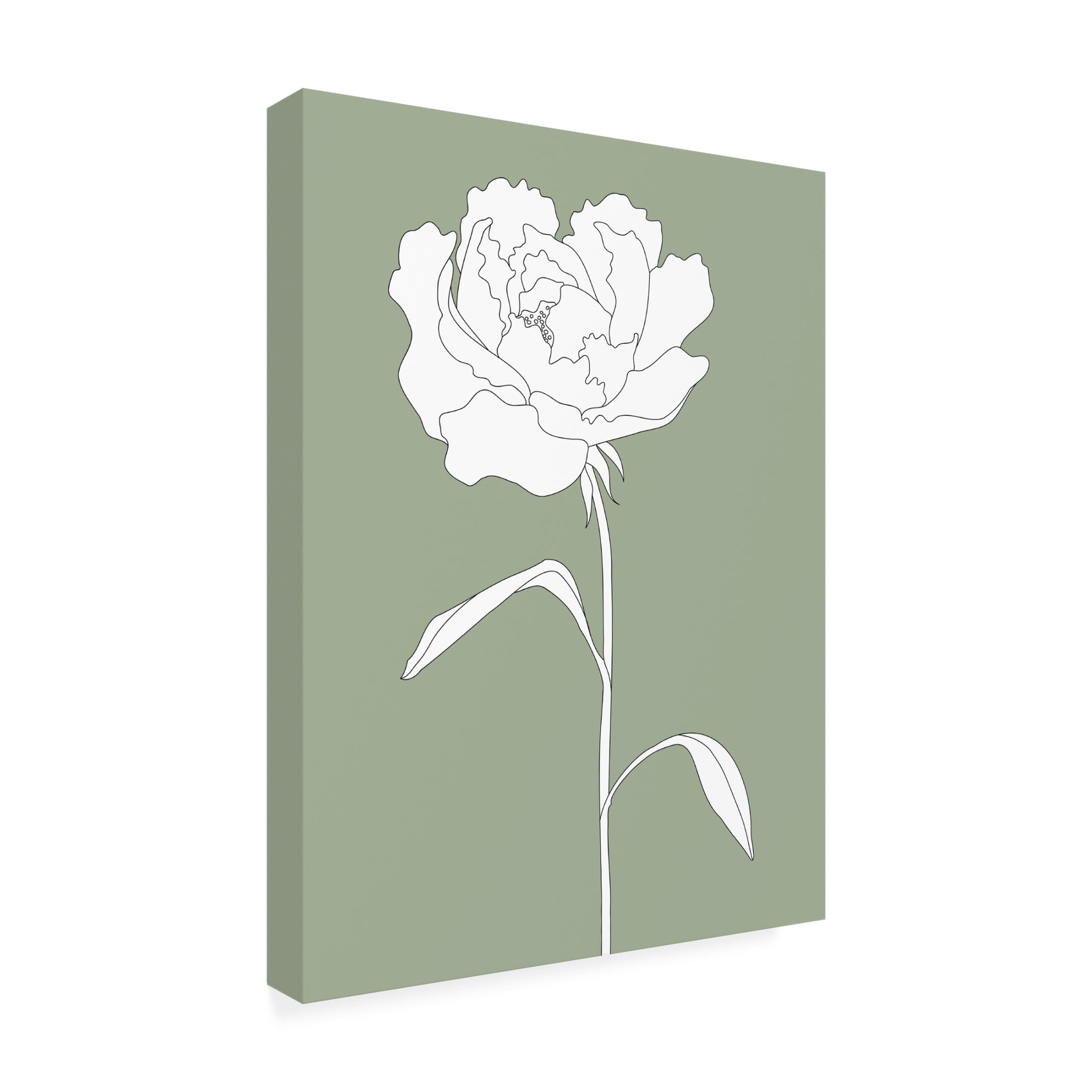 Trademark Fine Art Pictufy Studio II Rose in Green Canvas Wall Art