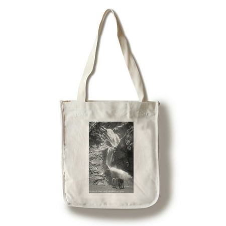 Burress Photograph - Colorado Springs, Colorado - South Cheyenne Canyon; Burro at Seven Falls Photograph (100% Cotton Tote Bag - Reusable)
