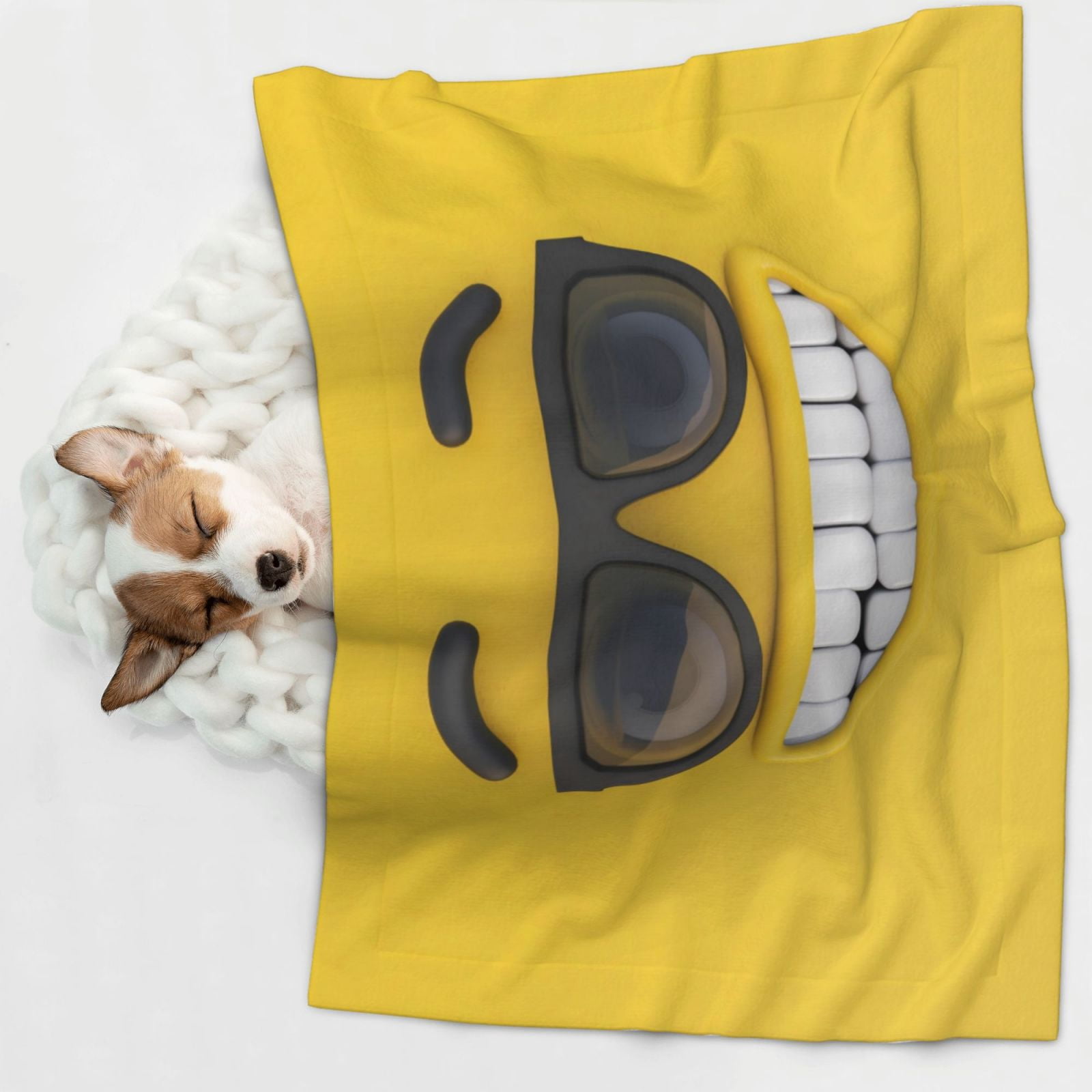 Naloa Smiling With Sunglasses Dog Blanket, 3 Sizes Cat Blanket for Indoor Cats Large Medium Small Dog Gifts-Large