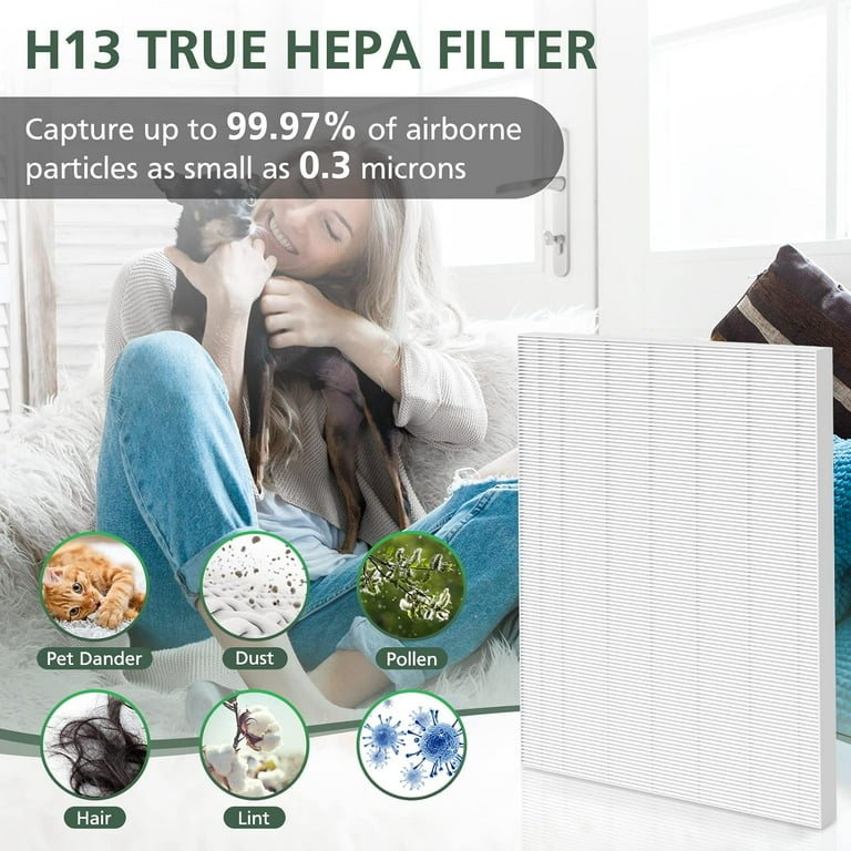 Winix plasmawave 6300 replacement filter online