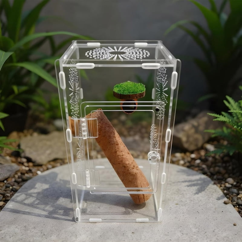 Zecic Clear Observation Terrarium Pet Enclosure Tanks For Jumping Spiders Mantises