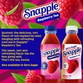 thumbnail image 5 of Snapple Raspberry Tea, 16 fl oz recycled plastic bottle, 5 of 9
