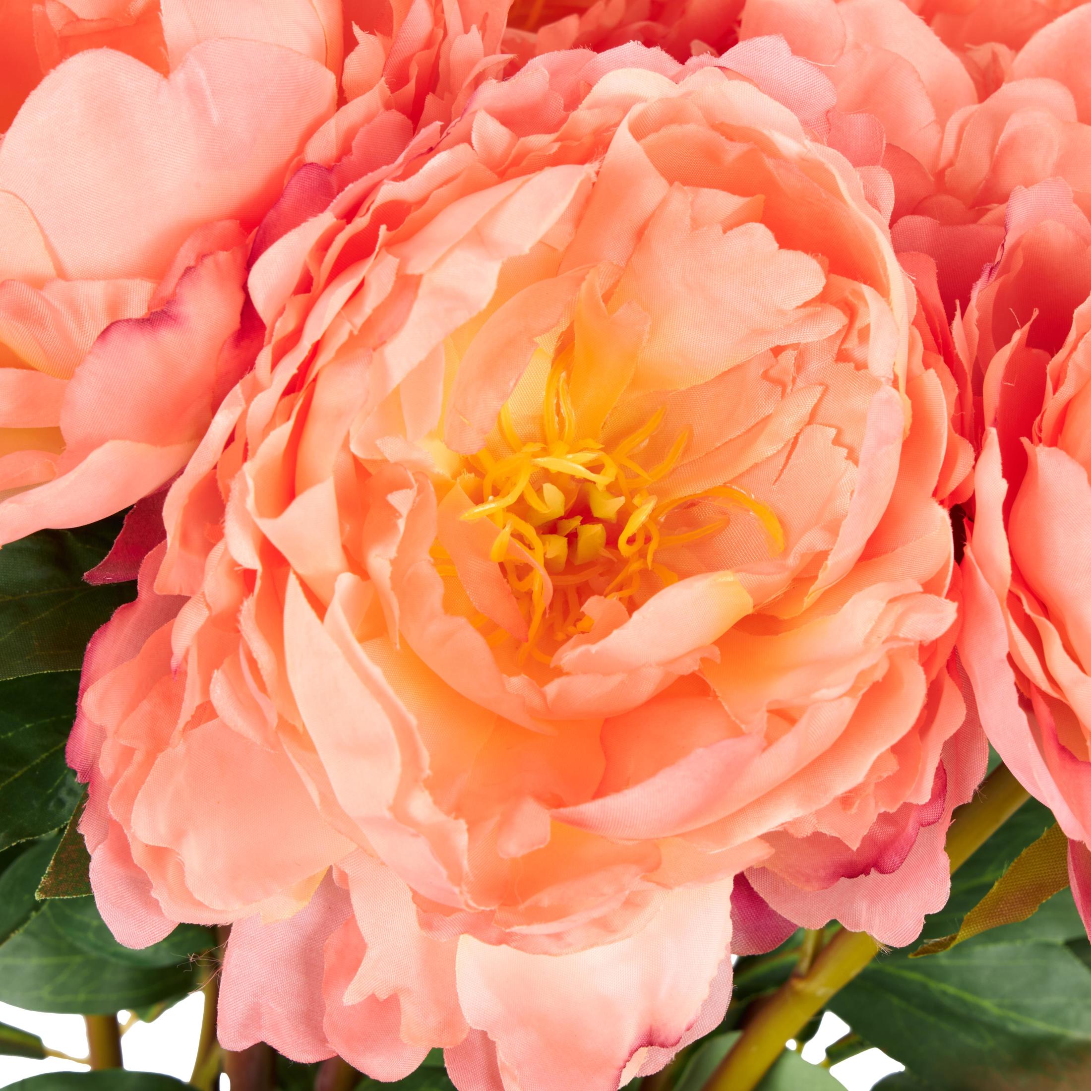 31" Plastic Floral Tall Peony Artificial Flower Stem, by DecMode (8 Count)