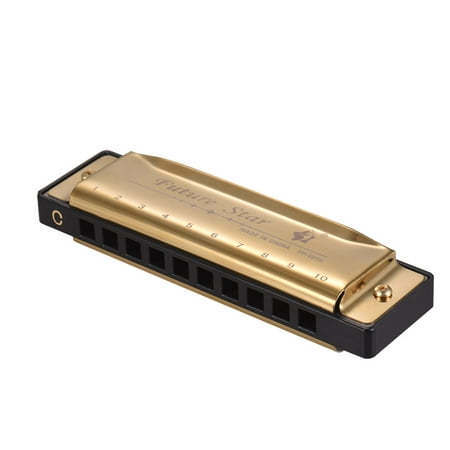 Key of C Diatonic Harmonica Mouthorgan with ABS Reeds Mirror Surface Design 10 Holes Blues Harmonica Perfect for Beginners Professional Students Kid