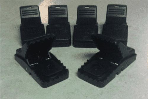 Trapper Mini Rex Mouse Snap Traps - 12 Traps by Bell Laboratories