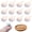white, variant on Yvsxxv 12 Pack Micro Resin Dolphin Statues Sea Animal Figurines for Landscaping Home Decoration, White Color