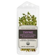 Fresh Cut Organic Thyme, 0.5 oz Clamshell