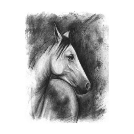 Charcoal Equestrian Portrait I Print Wall Art By Naomi