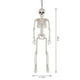 thumbnail image 3 of Uuiauoio Skeleton, Halloween Skeleton Poseable Skeleton Full Body Human Bones with Movable Joints for Indoor Outdoor Halloween Props Decorations, 3 of 9