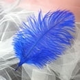 thumbnail image 3 of Clearance! Fdelink Feathers Decoration 50 Pcs Colourful Plumage for Wedding Party Centerpieces Flower Arrangement Home Decoration Diy Middle Floating Plume Hair Clothing Craft Decoration Plumage, 3 of 3