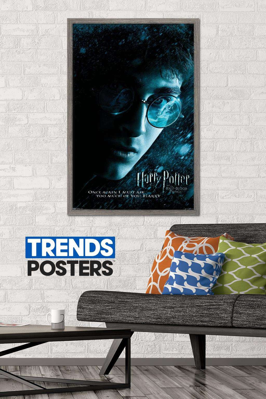 Harry Potter and the Half-Blood Prince - Harry Close-up One Sheet Wall Poster, 22.375" x 34", Framed