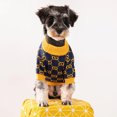 thumbnail image 3 of Luxury Dog Clothes Fashion Pet Sweater Dog Knitted Sweater Pomeranian Clothes Schnauzer Cardigan Sweater Dog Apparel Costumes ShopWise Round, 3 of 21