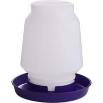 Miller Manufacturing Plastic Poultry Fountain Complete Waterer Purple 1 Gallon