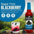 thumbnail image 2 of Syruvia Blackberry Sugar Free Cocktails Syrup 25.4 Fl. Oz With Pump, 2 of 7