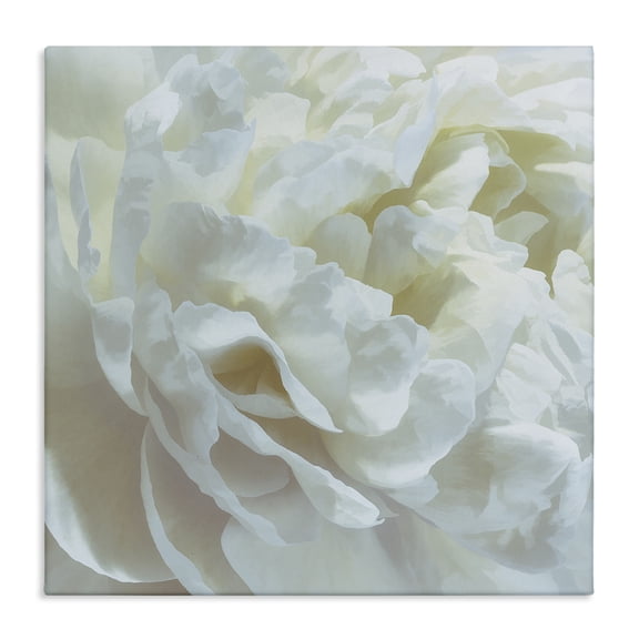 Stupell Industries Elegant White Petals Floral Painting Wrapped Canvas Canvas Art Print Wall Art, 17 x 17