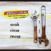 Evapo-Rust ER088 Evapo-Rust Gel 8oz Bottle