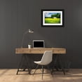thumbnail image 3 of Hausenflock, Alan 32x23 Black Ornate Wood Framed with Double Matting Museum Art Print Titled - Spring Pasture I, 3 of 4